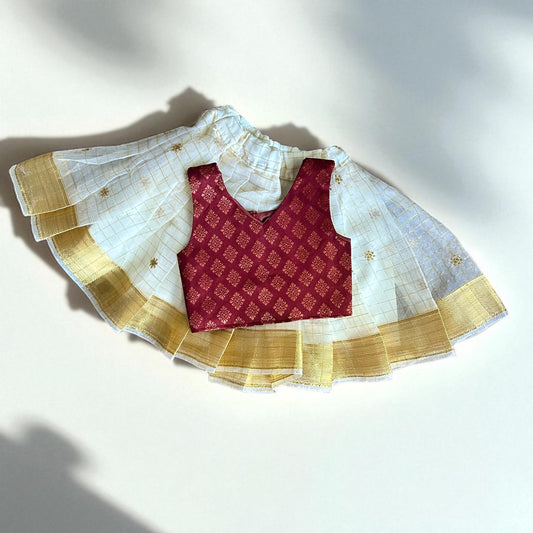 Cotton Brocade Blouse and Organza Skirt Set