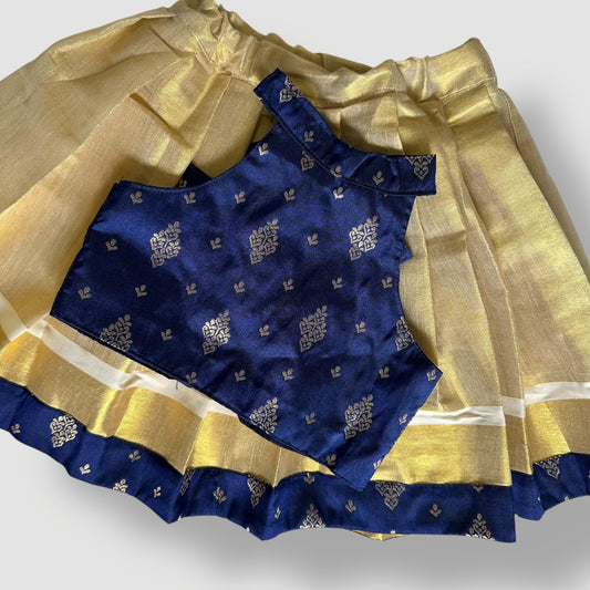 Royal Blue Brocade & Gold Tissue Skirt Set